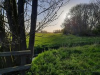 /album/winter-in-wervershoof-2020-21/nunspeet-06-jpg/